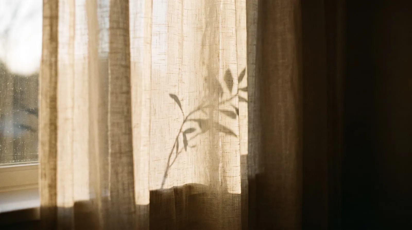 Sheer curtains at the SOLTHA studio, the tagline inner light, outer glow printed on the glass
